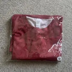 ノーザンホースパークマラソン参加賞　TシャツMサイズのサムネイル