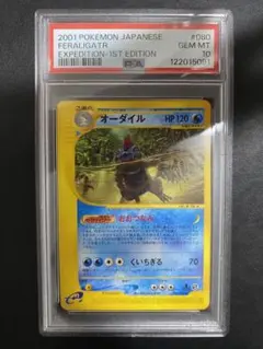 ARS10+】結晶塔のエンテイ PSA10超 ポケモンカード PSA10以上 - メルカリ
