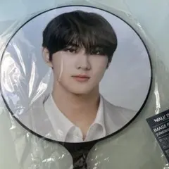 2025年最新】ジョンウォン うちわの人気アイテム - メルカリ