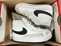 Item thumbnail for item a3e8c850-155d-4e74-934d-00f137e66788