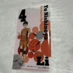 ハイキュー‼︎ 西ノ谷夕　ファイル