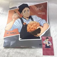 ハイキュー 大戸屋 ビジュアルボード 澤村大地