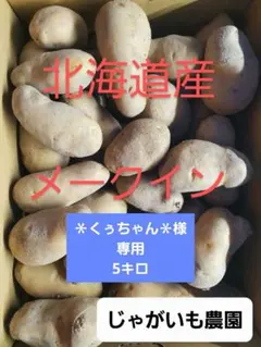 ＊くぅちゃん＊様専用