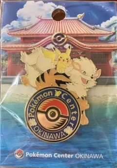 【沖縄限定】ポケモンセンター ロゴピンズ 新品
