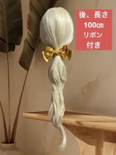 2025年最新】ガストンガールズ ウィッグの人気アイテム - メルカリ