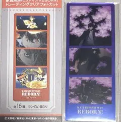 雲雀恭弥　家庭教師ヒットマンreborn! トレーディングクリアフォトカット