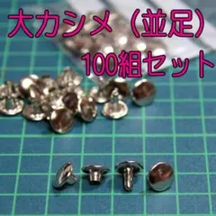 Item thumbnail for item 31f2465c-7dab-4c62-ab16-6a0fbe8bb61b