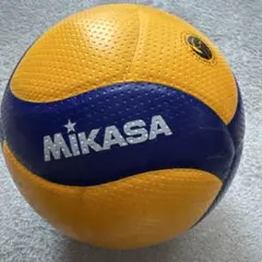 4号 バレーボール