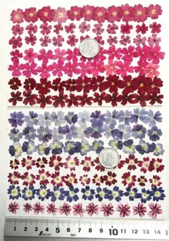 Item thumbnail for item 488dd58e-c075-4b6c-8998-89a67040c799