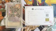 【ARS10】波動の超魔剣士　ブラックパラディン オーバーフレーム　プリズマ