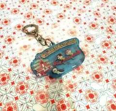 ディズニー テーマポート キーチェーン チップ デール クリッターカントリー