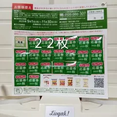フジパン応募券2025秋「ミッフィーコットンバッグ」１つ分22枚