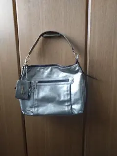 Item thumbnail for item e2bc706c-e2ff-4aa6-8cbd-ef88813de1fb