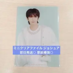 Cathy様専用 SEVENTEEN ミニクリアファイル ジョシュア 銀テ 2本