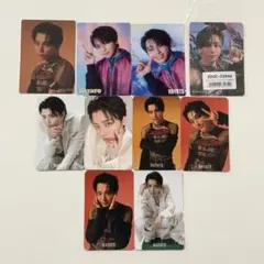 ONE N' ONLY WARAiNA HAYATO トレカ 10枚セット