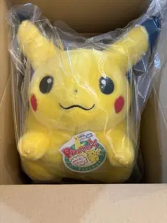 新品 ポケットモンスター ポケモン30周年記念 おかえり！ピカチュウ1/1