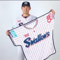 東京ヤクルトスワローズ ユニフォームマグネット - メルカリ