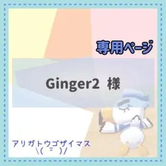 Ginger2様 リクエスト 3点 まとめ商品