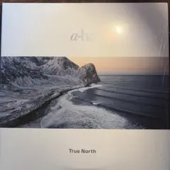 a-ha True North (Vinyl)＜完全生産限定盤＞