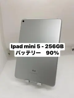 ipad mini 5 256gb