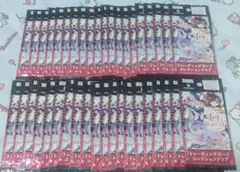 東方Project トレーディングカードコレクションクリア 未開封40パック