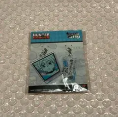 キルア HUNTER×HUNTER アクリメトリー アクキー