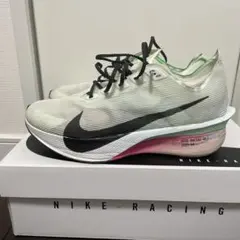 ヴェイパーフライ4のサムネイル