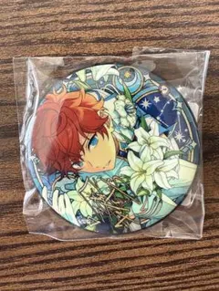 あんスタ 天城一彩 星之所向 缶バッジ あんスタ 天城一彩 缶バッジ 22個セット 星之所向 中国限定