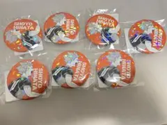 ハイキュー!! ゴミ捨て場の決戦 日向翔陽 缶バッジ 7個セット