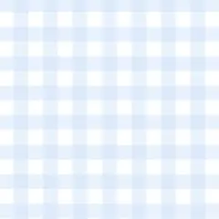 もも太 様 専用