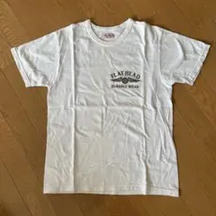 Item thumbnail for item 8b12c012-75b3-4021-bd6f-bb519fba7949