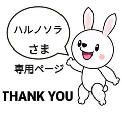 ハルノソラ プロフィール必読様 リクエスト 3点 まとめ商品