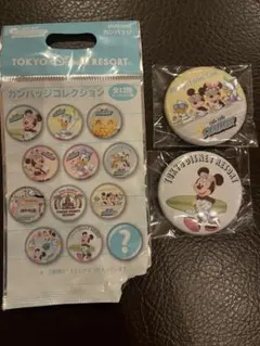 お値下げ⭕️東京ディズニーリゾート カンバッジコレクションのサムネイル