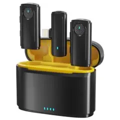 Item thumbnail for item 9a99b60d-0702-400a-9749-9c7a0292fd8c