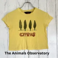 The Animals Observatory Tシャツのサムネイル