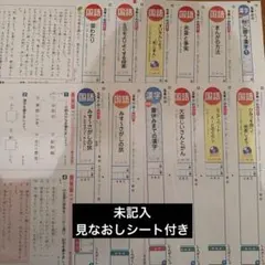 専用　5年テスト未使用 2026年最新】カラーテスト5年の人気アイテム - メルカリ