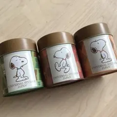 小物入れ 【スヌーピー】USJ 空き缶 菓子缶 クッキー缶　収納缶 まとめ売り