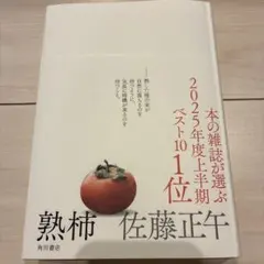 熟柿 佐藤正午 KADOKAWA