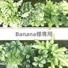 Banana様専用ページ トリミングチョーカー 桜3連