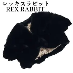 レッキスラビット　ボレロ　毛皮　ブラック　REX RABBIT 　結婚式、二次会