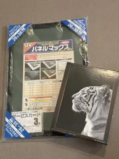 Item thumbnail for item 2c0c018c-3b84-4134-8fa3-c0efc96931b1