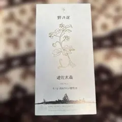 遊佐未森 野の花 8cmシングルCD