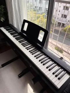 専用出品】Roland FP-10 電子ピアノ 本体+スタンド+キャリアバッグ