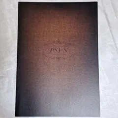 DisGOONie ディスグーニー PSY・S サイズ パンフレット