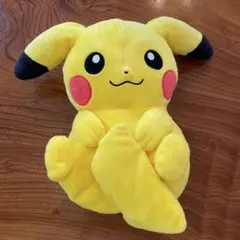 ポケモン一番くじA賞　ひなたぼっこピカチュウのサムネイル