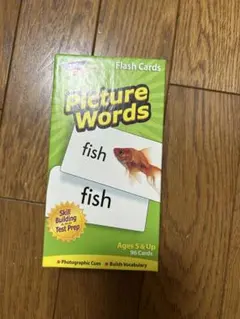 Picture Words フラッシュカード 96枚入り