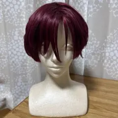 2025年最新】天堂天彦 ウィッグの人気アイテム - メルカリ