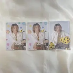 FANTASTICS 瀬口黎弥 フォトカ2種 SUNFLOWER