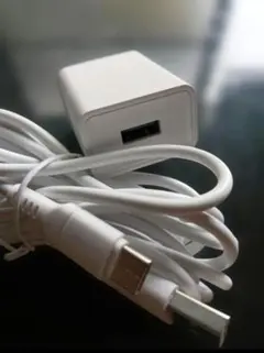 汎用電源アダプターとUSB Type-C　３ｍロングケーブルセット B
