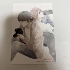 2025年最新】美しい彼 joysound ポストカードの人気アイテム